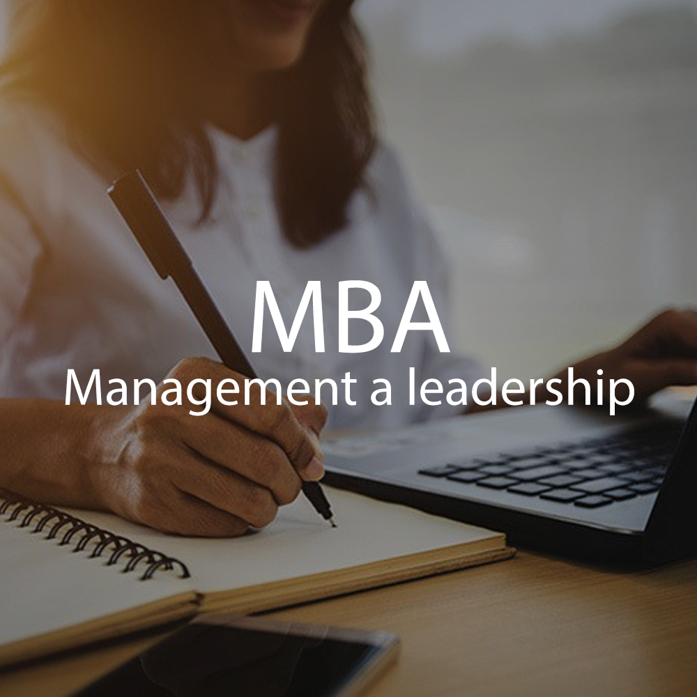 MBA Management and leadership Informační systém PIB